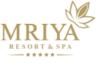 Логотип Mriya